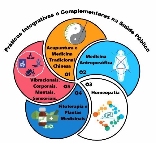 Usp Realiza Workshop De Pr Ticas Integrativas E Complementares