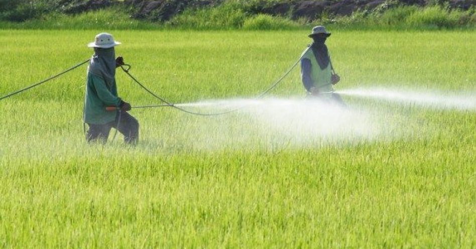 Governo anuncia Programa Nacional de Redução do uso de Agrotóxicos