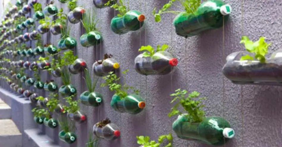 Marcelo Rosenbaum projeta horta vertical prática e sustentável