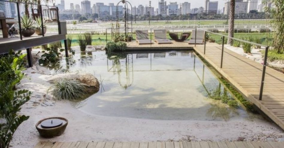Piscina natural recria ambiente das nascentes de rio da cidade de Bonito (MS)