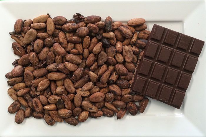 O sucesso do chocolate artesanal – Primeira Página