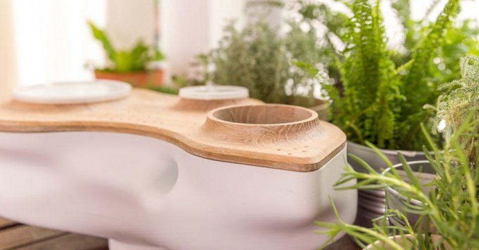 Designers criam minicomposteira que vira vaso de plantas