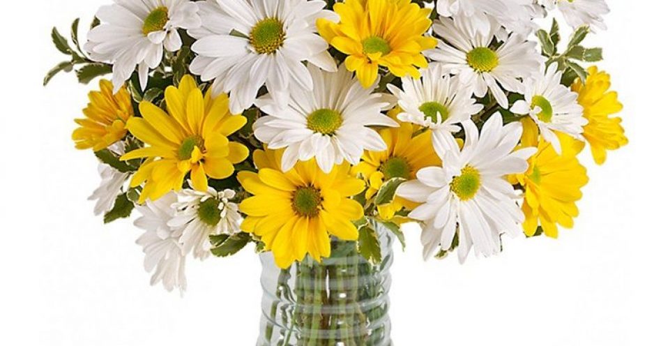 Flores indicadas para o outono