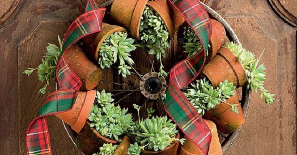 Inove na decoração de Natal com plantas naturais