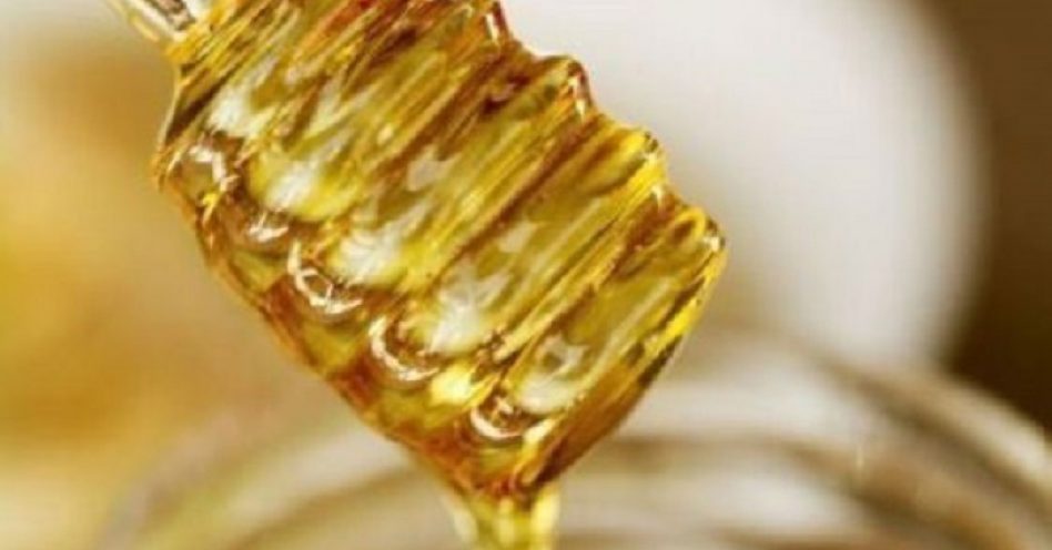 Afinal, qual a diferença entre o mel orgânico e o mel comum?