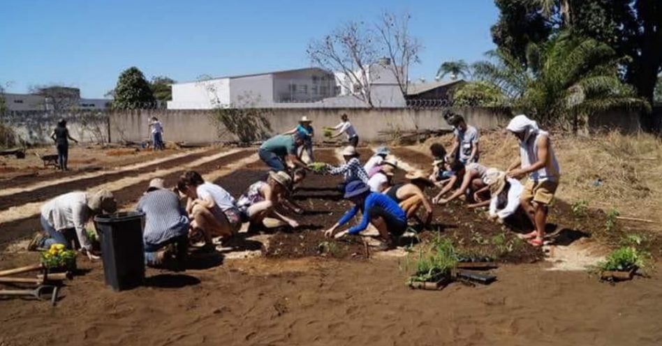 ONG cria projeto de hortas orgânicas