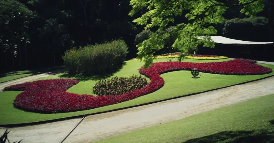 Obras do paisagista Roberto Burle Marx estão em exposição no MuBE