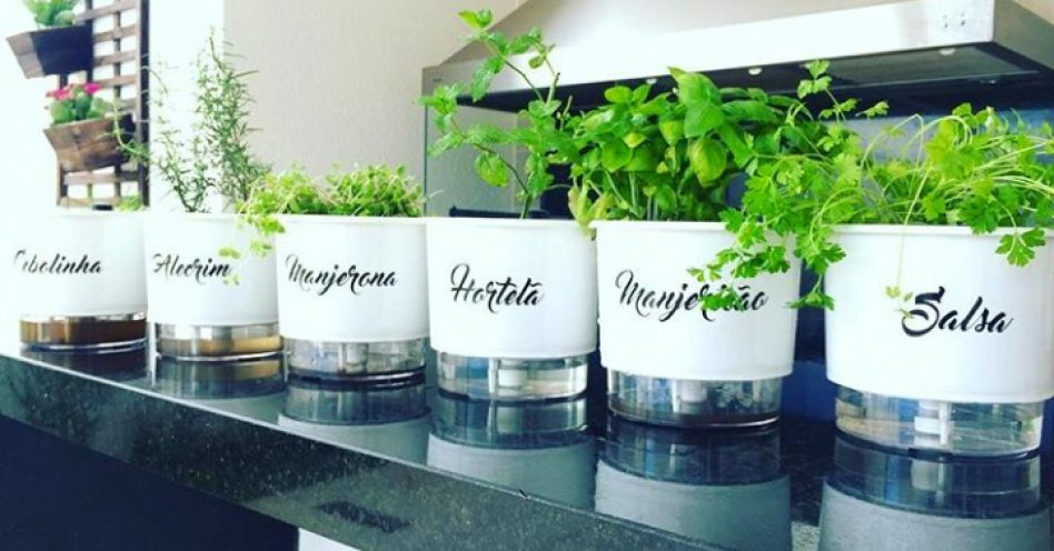 5 dicas preciosas sobre horta em apartamento