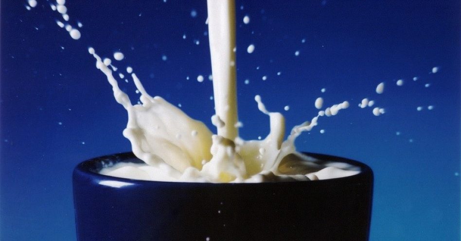 3 dicas para produção do leite orgânico