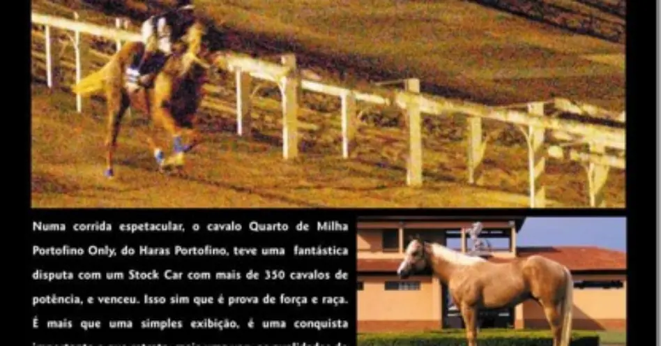 Cavalo x bólido de corrida