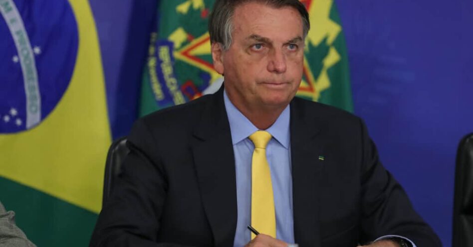 Raposa no galinheiro